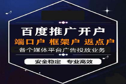 某品牌SEM广告投放效果全解析